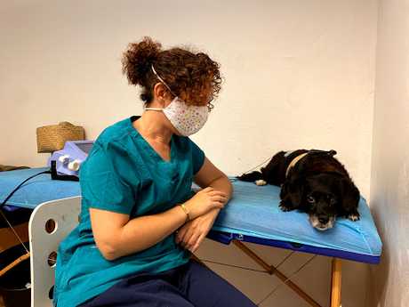 Fotografia tomada fuera de Fisiocan - Cuidador de mascotas en O Burgo A Coruña
